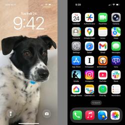 Chapter #askatp: Home screens (John) image.