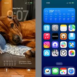 Chapter #askatp: Home screens (Casey) image.